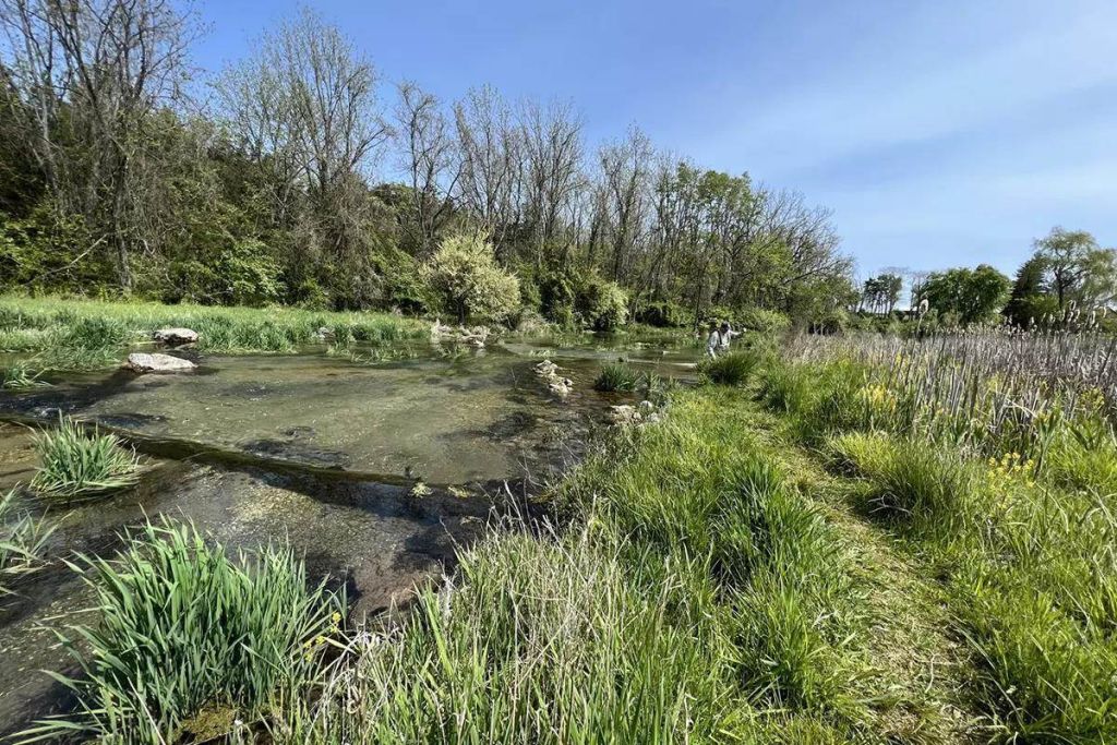 save-big-spring-creek