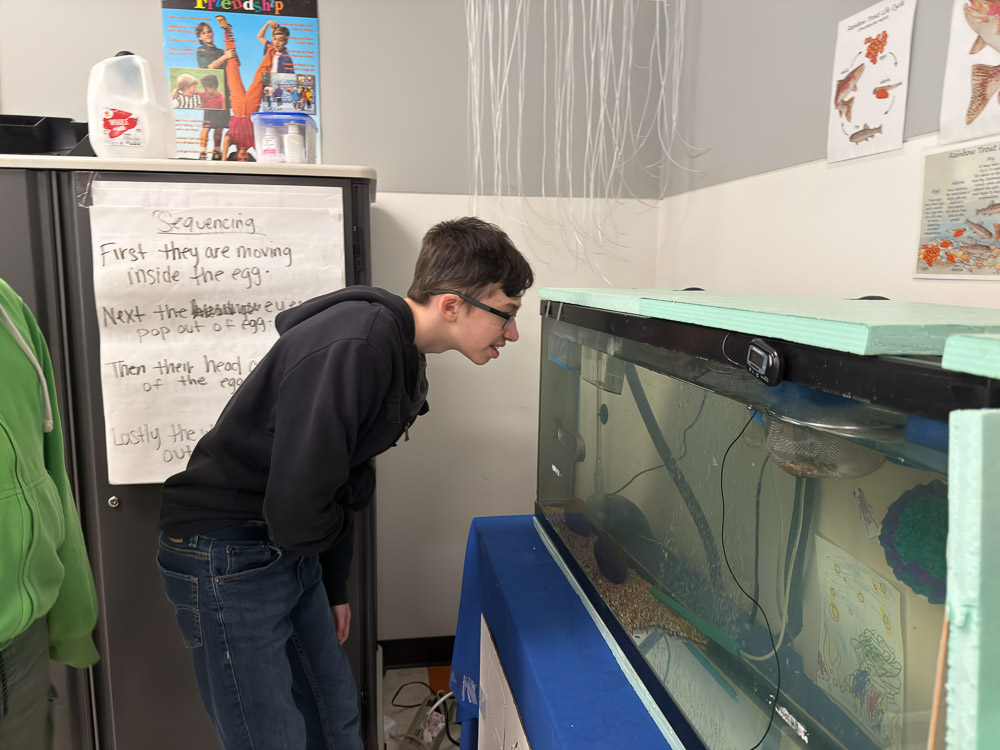 Autism support classroom Trout in the Classroom program