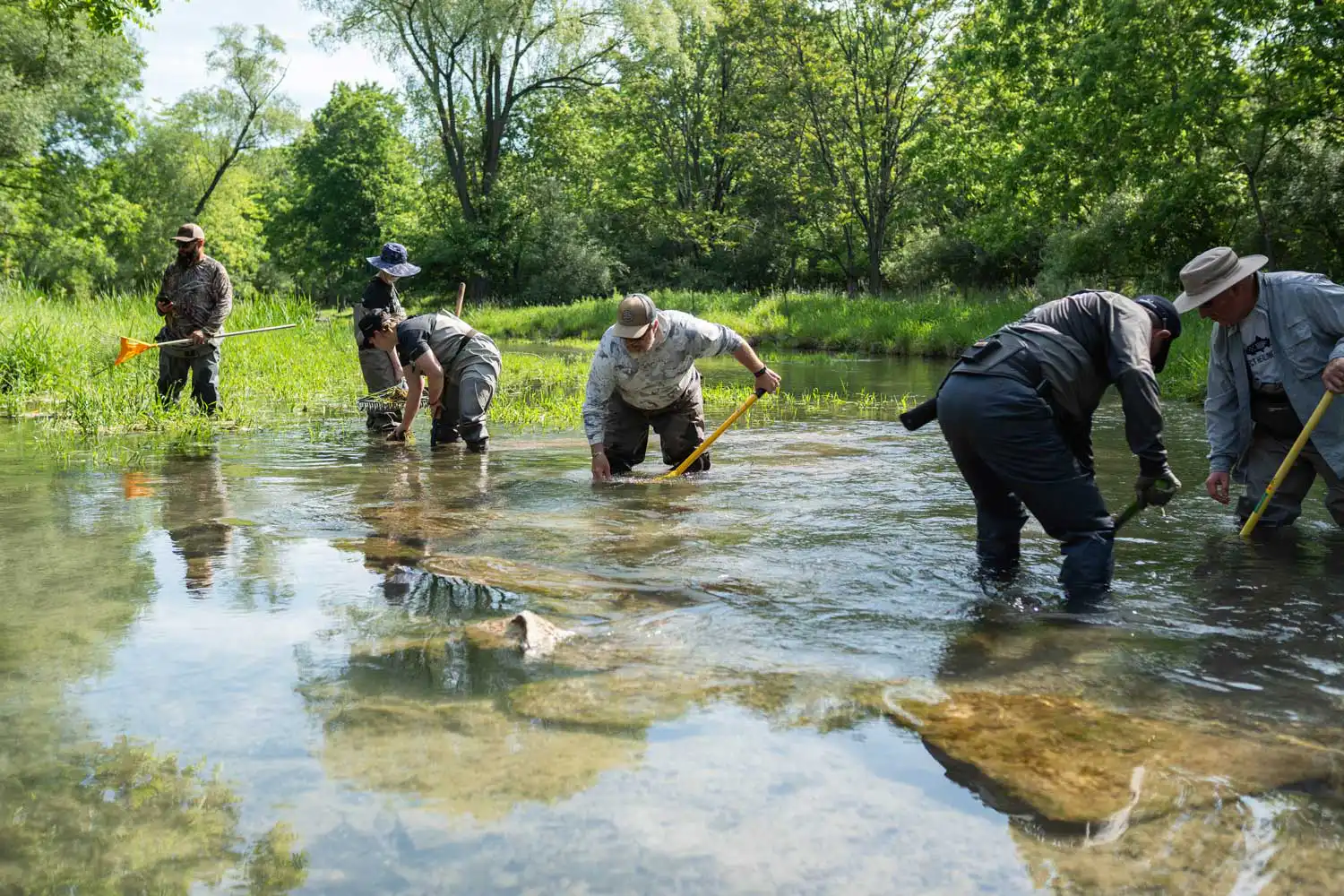 Deloitte and Project Healing Waters volunteers restoring habitat along the Letort Spring Run